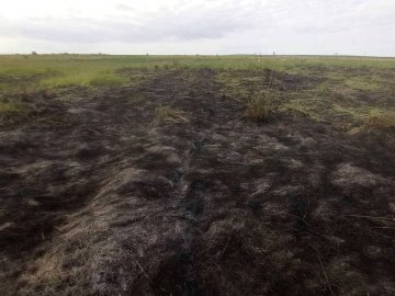 Волинянин, який підпалив суху траву біля церкви, заплатить чималий штраф