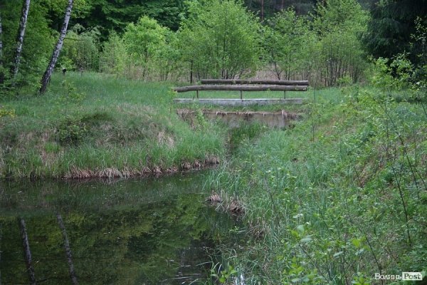 Партизанський музей у Лопатні: уламок ідеології чи місце пам’яті героїв?