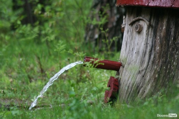 Партизанський музей у Лопатні: уламок ідеології чи місце пам’яті героїв?
