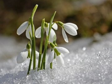 На Волинь повернуться морози 