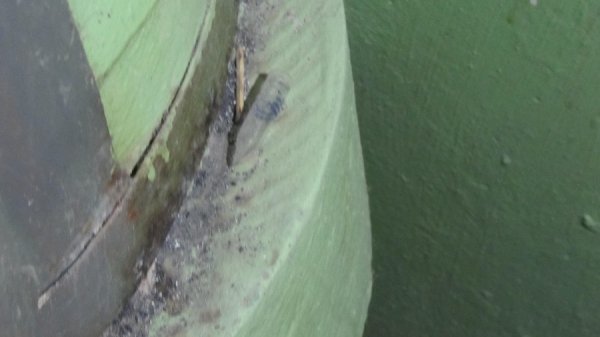 Лучани кажуть, що їхній під'їзд «окупували» наркомани