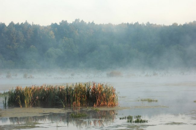 Показали світлини сходу сонця у волинському заказнику. ФОТО