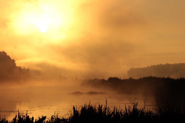 Показали світлини сходу сонця у волинському заказнику. ФОТО