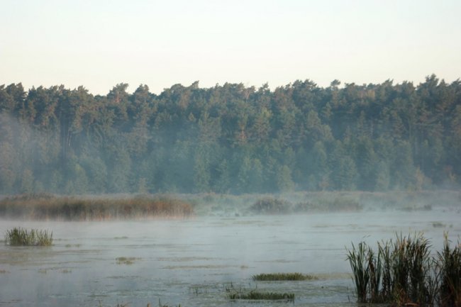 Показали світлини сходу сонця у волинському заказнику. ФОТО