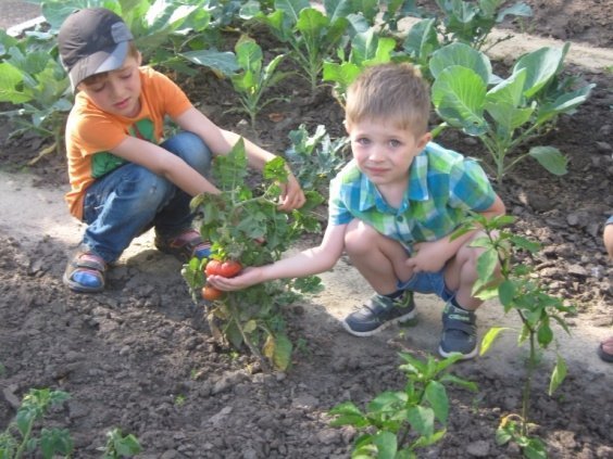 Як відпочивають луцькі дошкільнята. ФОТО