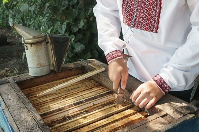 «Недитяче» захоплення: 14-річний волинянин займається бджолярстом. ФОТО. ВІДЕО