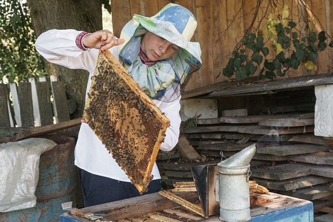 «Недитяче» захоплення: 14-річний волинянин займається бджолярстом. ФОТО. ВІДЕО