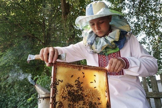 «Недитяче» захоплення: 14-річний волинянин займається бджолярстом. ФОТО. ВІДЕО