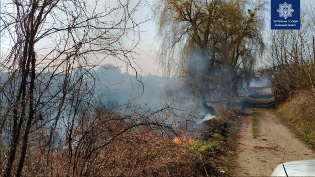 За місяць на Волині патрульні отримали 43 виклики про пожежі в екосистемах 