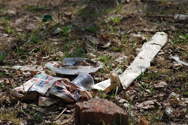 Як прибирали Луцьк. ФОТО