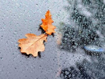 Погода в Луцьку та Волинській області на вихідні, 7 і 8 жовтня