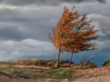 Українців попередили про сильні пориви вітру