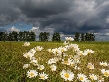 8 серпня – яке сьогодні свято та що не можна робити у цей день