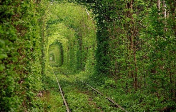 20 місць на Землі, неначе з іншого світу. ФОТО