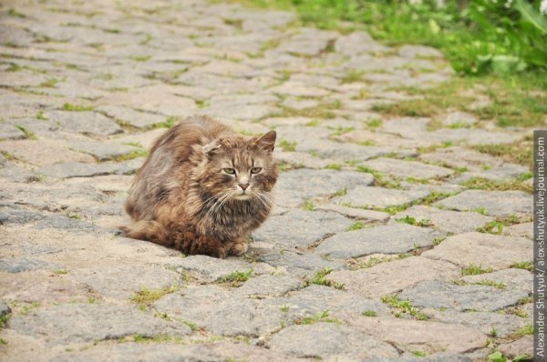 Луцьк - погляд зі сторони. ФОТО