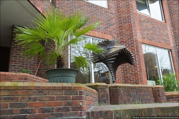 Прогулянка весняним Лондоном. ФОТО