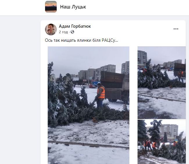 У мерії пояснили, чому зрубали ялинку біля РАЦСу у Луцьку