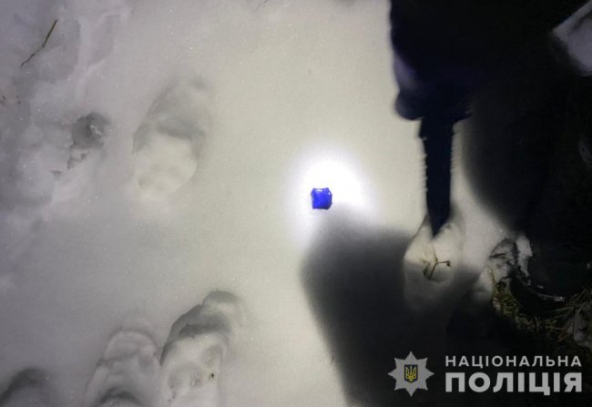 На Волині викрили 23-річну «закладчицю» та вилучили у неї психотропи