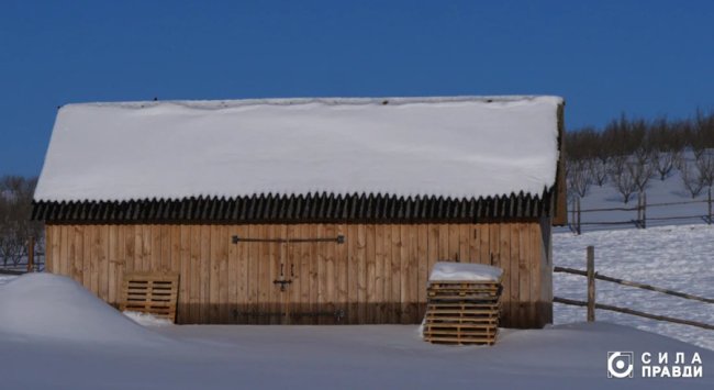 Директор «Луцькспецкомунтрансу» не вказав у декларації квартиру, авто і бізнес з фундуком – розслідування