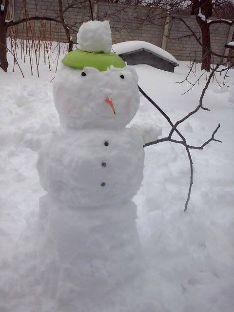 Українців запрошують на віртуальний парад сніговиків. ФОТО^