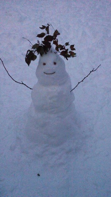 Українців запрошують на віртуальний парад сніговиків. ФОТО^