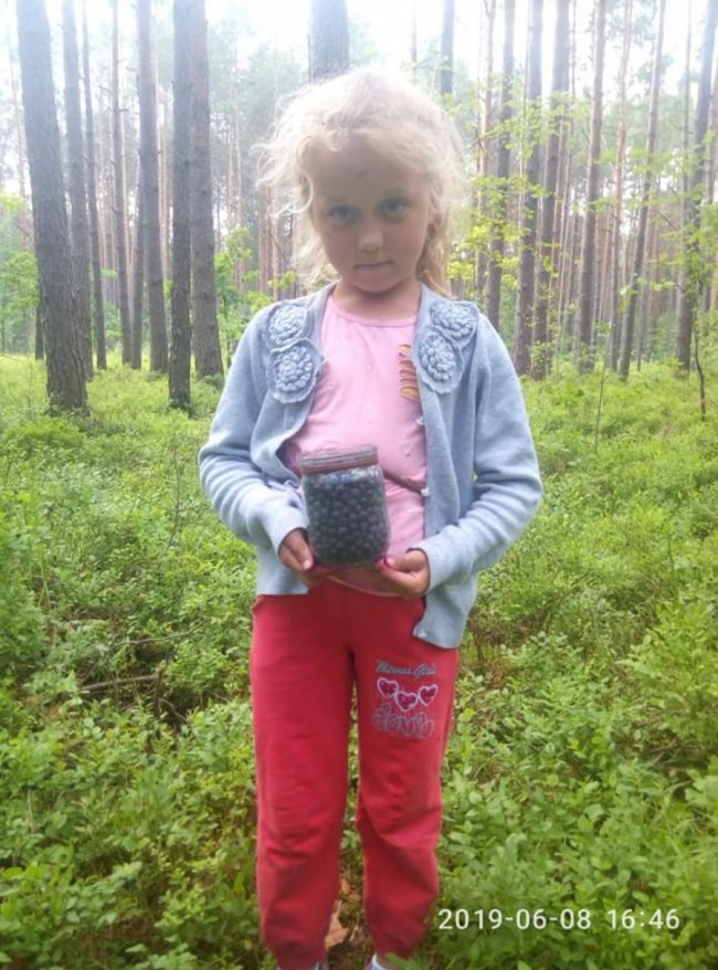 На Волині стартував сезон збору чорниці. ФОТО