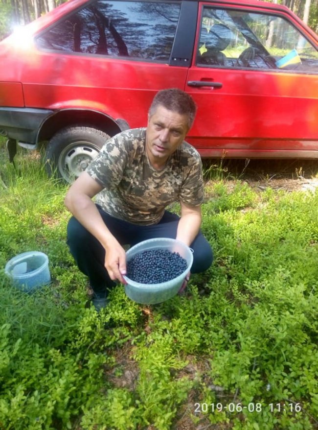 На Волині стартував сезон збору чорниці. ФОТО