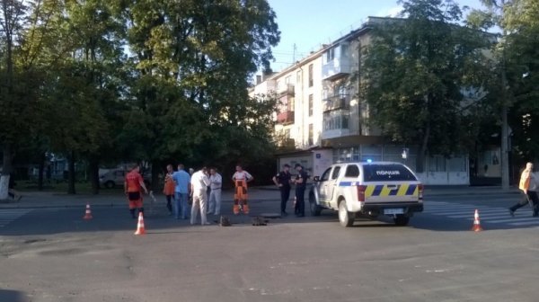 На одній із вулиць Луцька «просів» асфальт. ФОТО