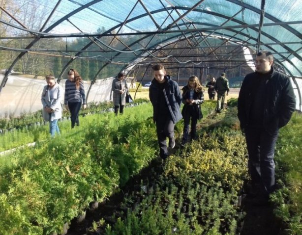 Волинським школярам показали, як вирощують ліс. ФОТО