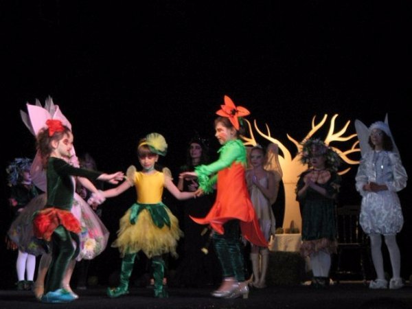 Маленькі обдаровані лучани створили казку у Львові. ФОТО