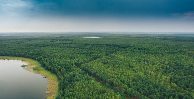 Опублікували чарівні світлини волинського озера