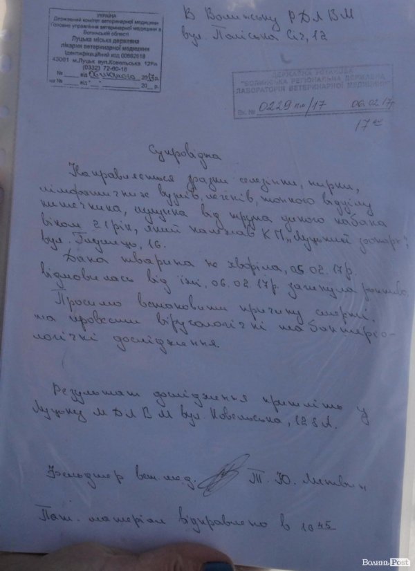 У Луцьому зоопарку помер кабан