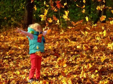 Погода у Луцьку на неділю, 7 жовтня