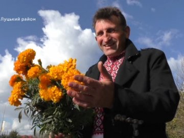 20 років невтомної праці: як волинянин заквітчує дороги Волині чорнобривцями і соняхами. ВІДЕО