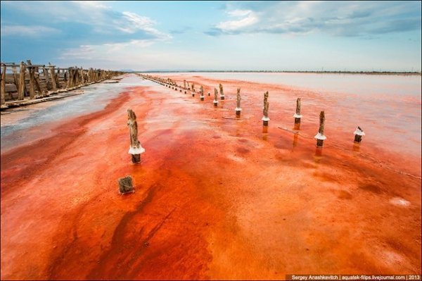 Соляні квіти та багряні ріки Криму. ФОТО
