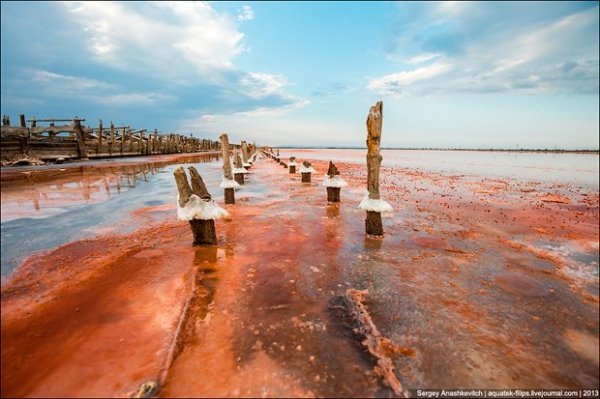 Соляні квіти та багряні ріки Криму. ФОТО
