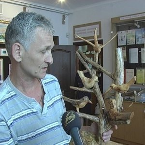 Відкрилася виставка скульптур із дерева любомльського журналіста