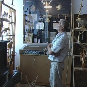 Відкрилася виставка скульптур із дерева любомльського журналіста