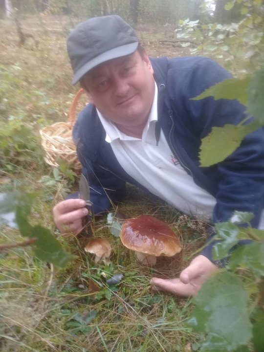 Заступник голови Волинської облради назбирав декілька кошиків грибочків. ФОТО