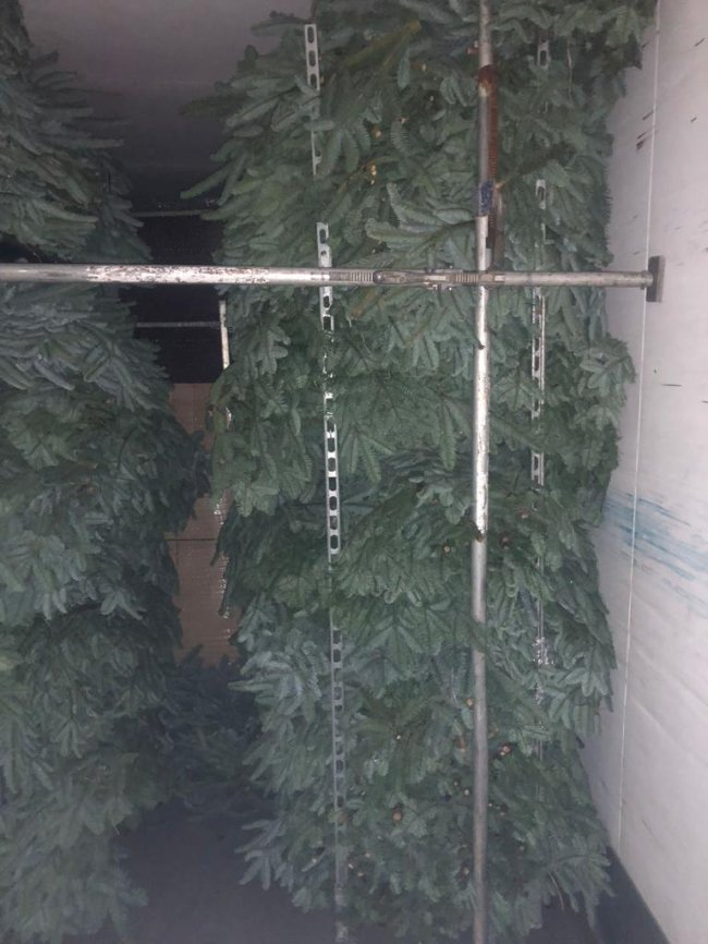 На волинській митниці затримали вантажівку з 6 тоннами квітів та декоративних рослин. ФОТО