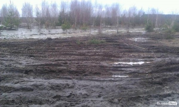 На Волині чергова навала бурштинокопачів. Тепер у Любешівському районі. ФОТО