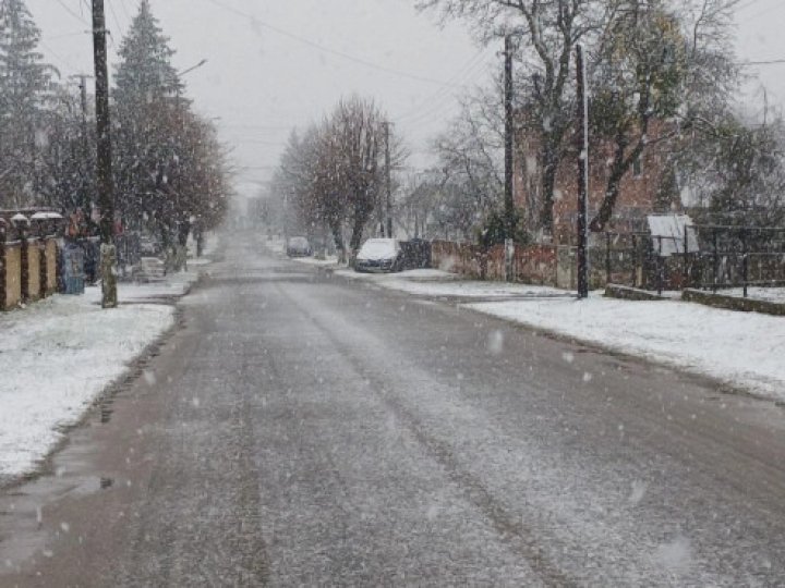 На Волині випав перший сніг. ФОТО