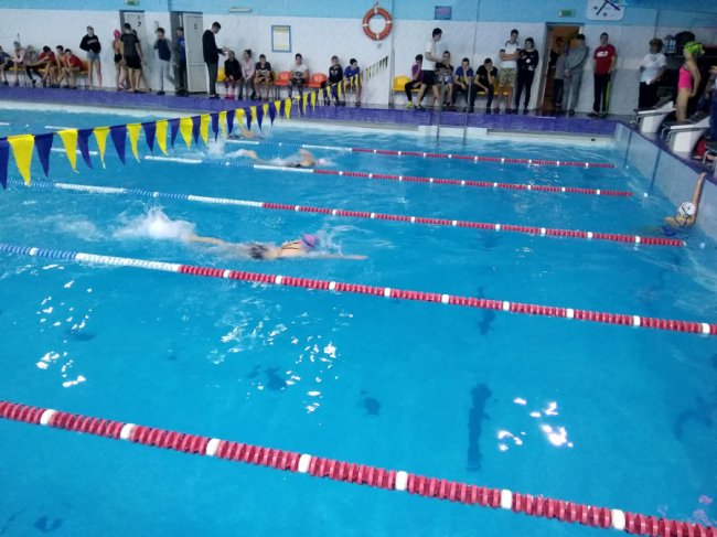 У Луцьку юні плавці змагались за право поїхати на чемпіонат України до Львова. ФОТО