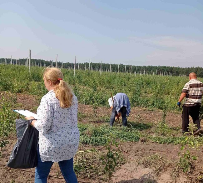 Поводилися агресивно та перешкоджали інспекції: у селі на Волині виявили нелегальних працівників