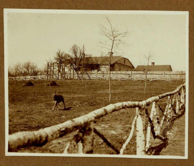 Рожище, 1914-1918 рр.