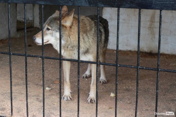 У Луцьку відкрили оновлений зоопарк. ФОТО 