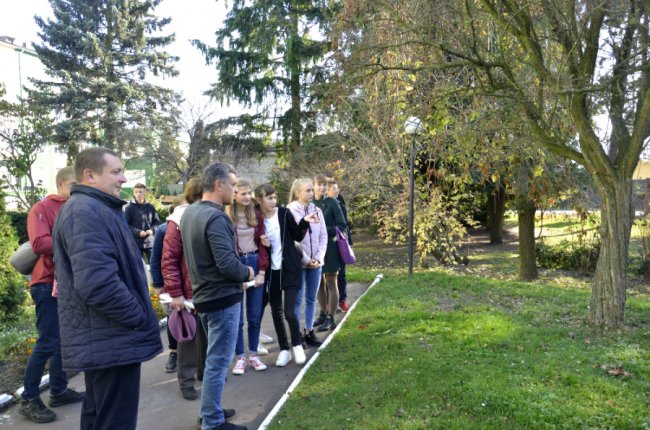 На Волині школярі заготовляли насіння рідкісних видів дерев. ФОТО
