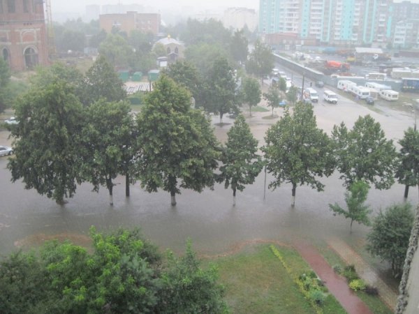 Фото з Луцької дошки