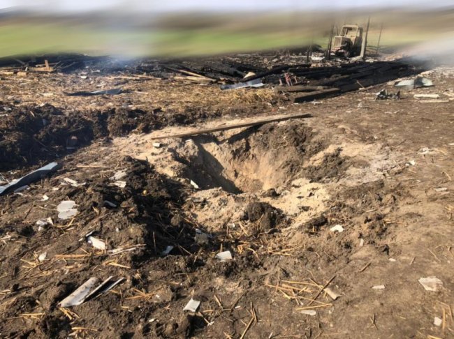 «Мабуть, шукали бойових гусей»: ворог обстріляв ферму на Полтавщині