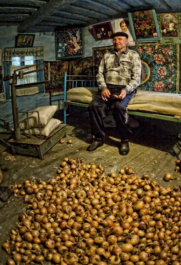 Цибулеве щастя